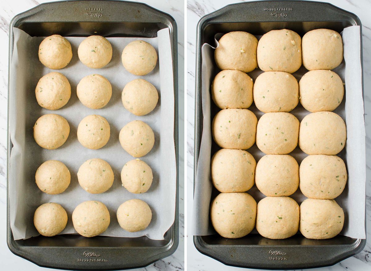 100% whole wheat dinner rolls before baking.