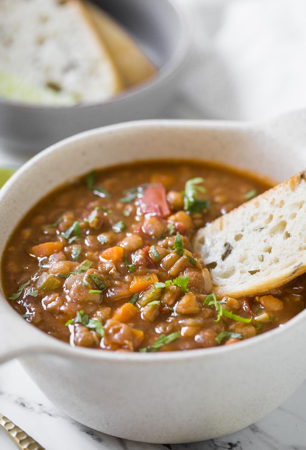 30-min Wholesome Healthy Instant Pot Vegetarian Lentil Soup Recipe