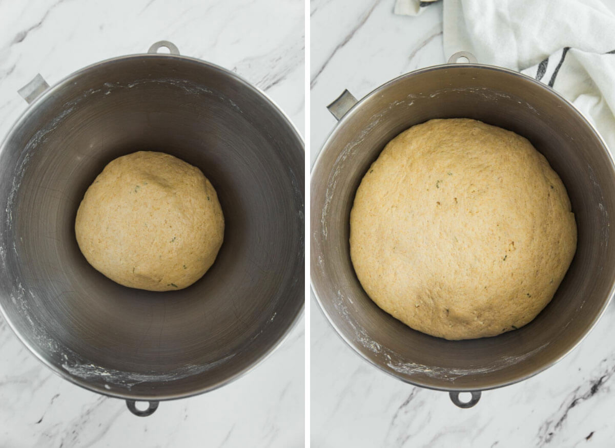 Whole wheat dough in a mixing bowl. Before and after proofing dough.