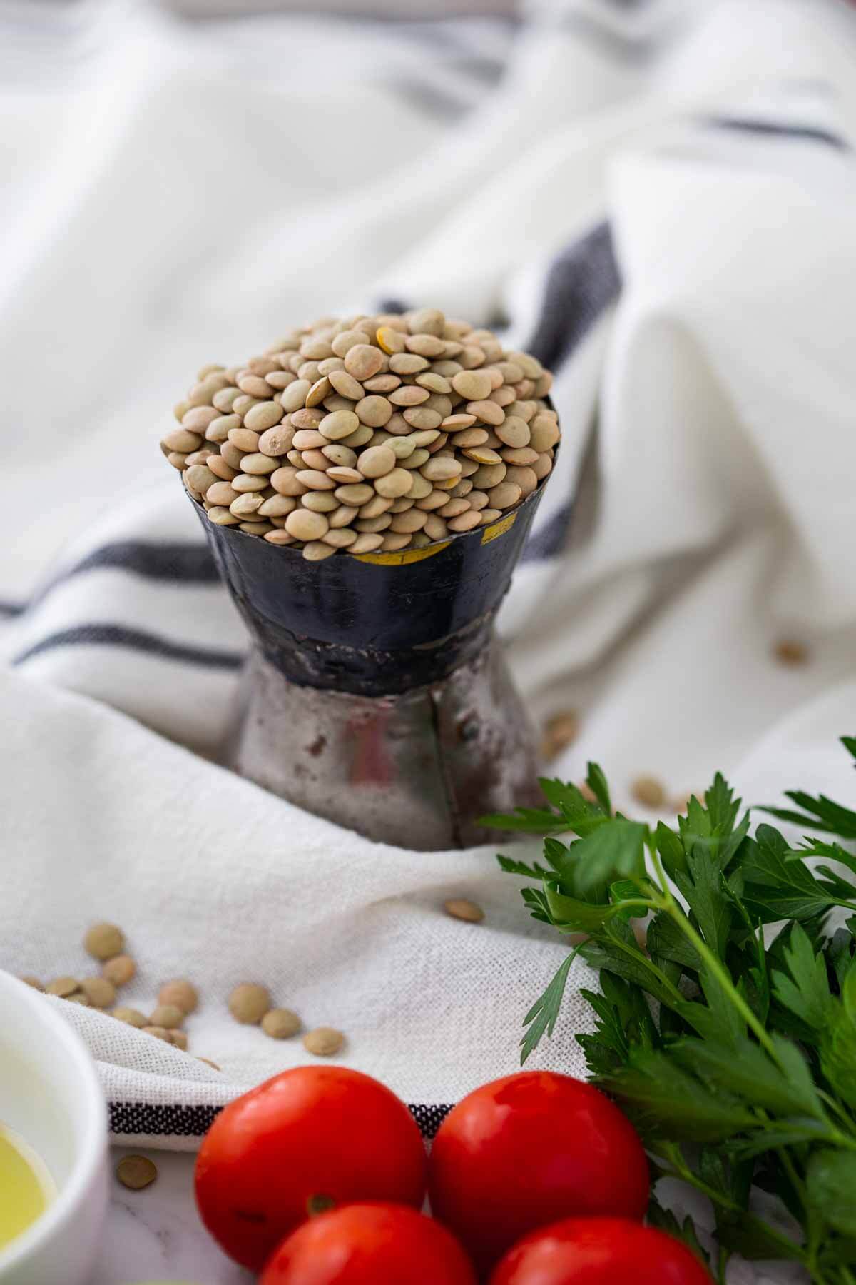 Raw lentils in a metal container with fresh parsley and tomato on the side.